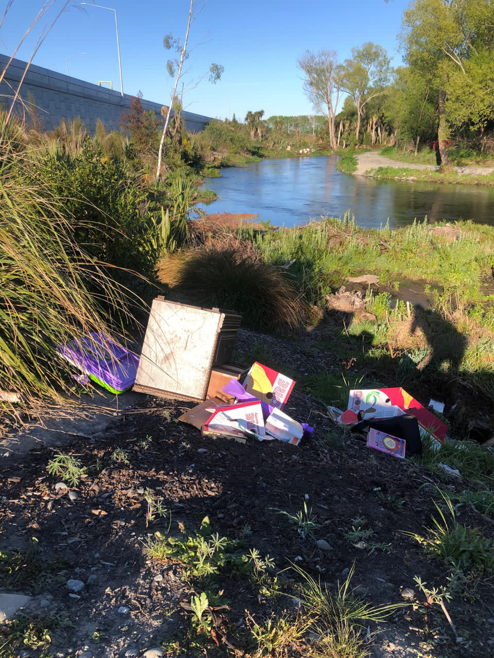 The photograph attached to this dumped rubbish report