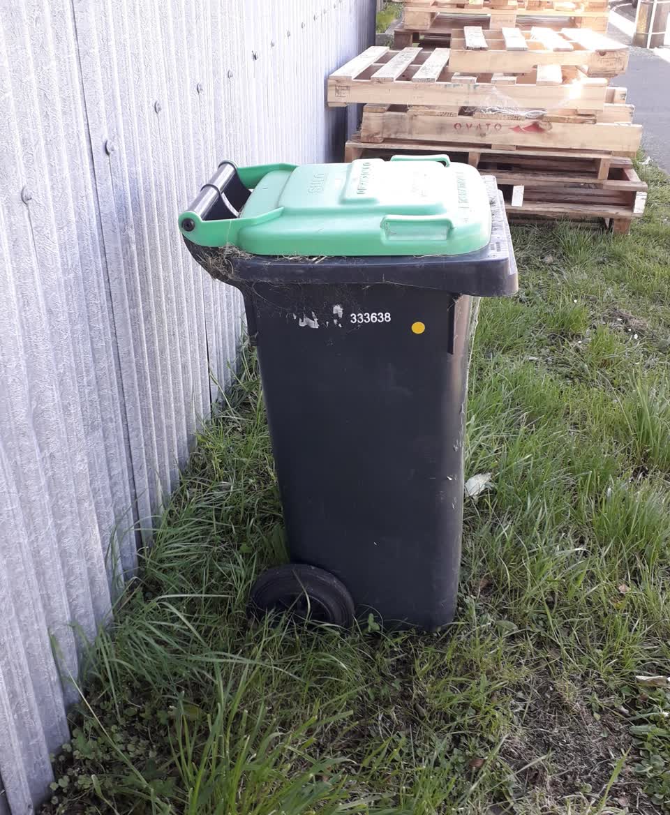 The photograph attached to this rubbish and bins - general report
