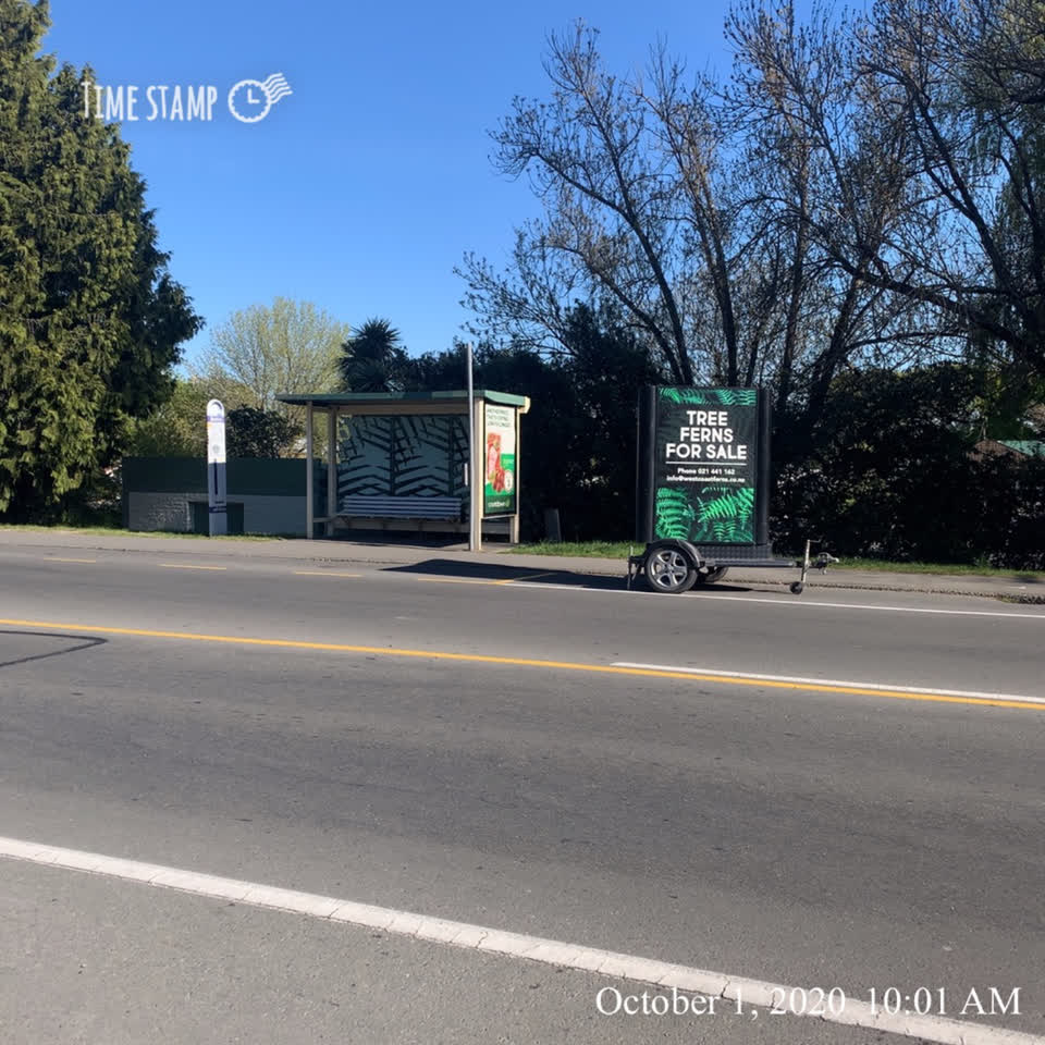 The photograph attached to this parking and cars - general report