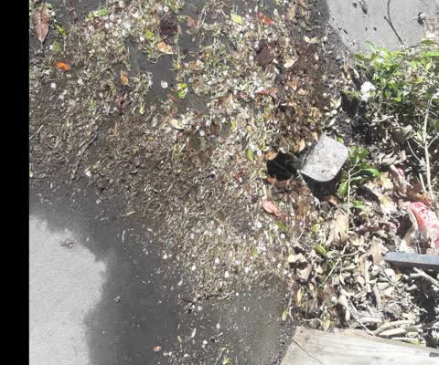 Water Leak, a report photo