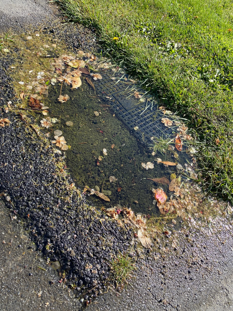 The photograph attached to this flooding report