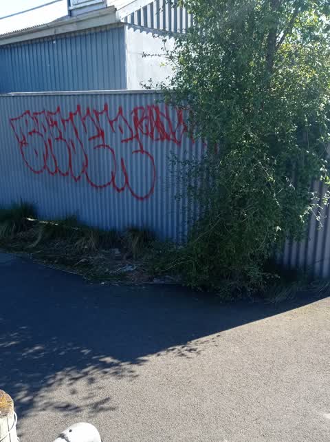 Graffiti — a report photo