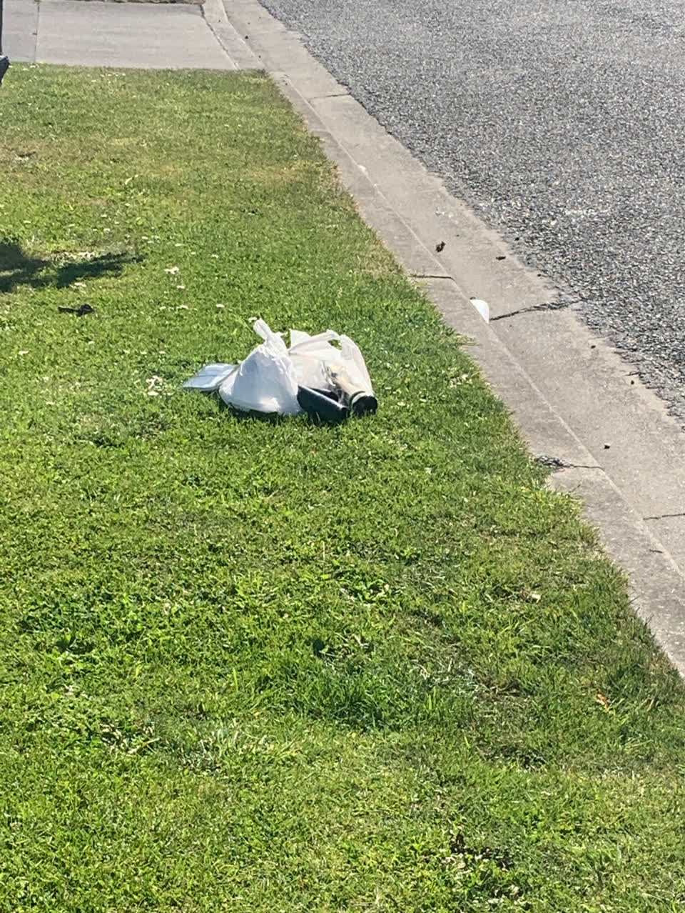 The photograph attached to this dumped rubbish report