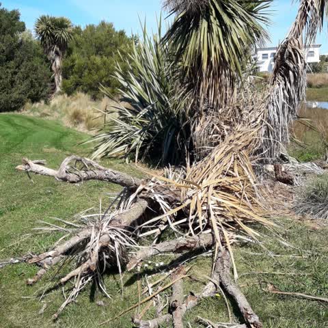 Parks, a report photo
