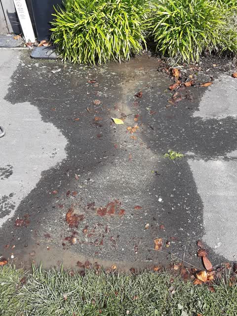 Water Leak, a report photo