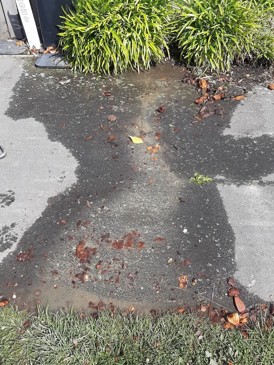 The photograph attached to this water leak report