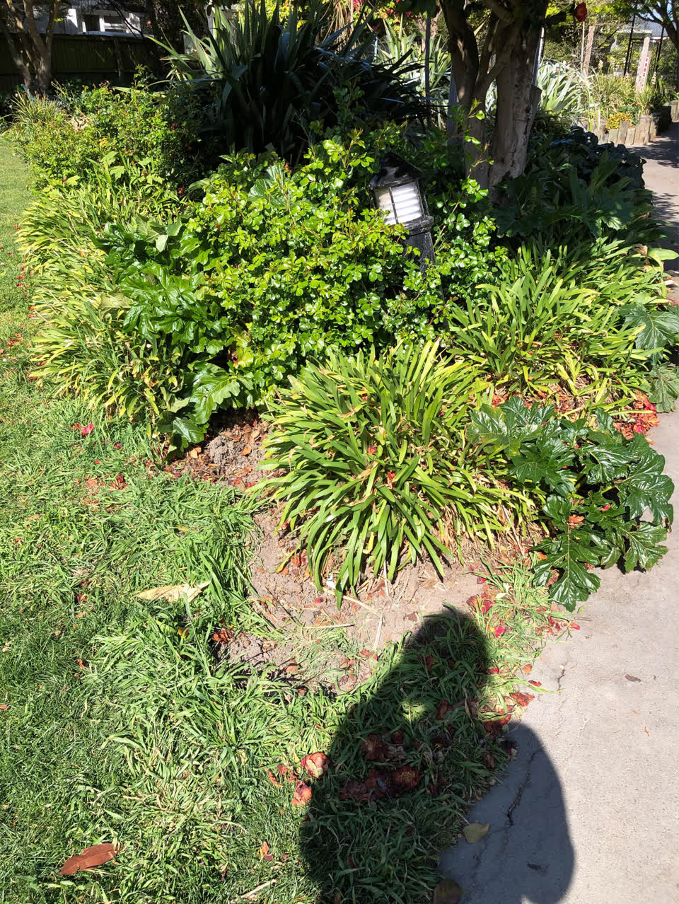 The photograph attached to this parks report