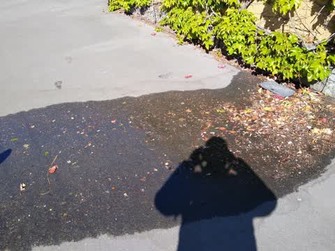 Water Leak, a report photo