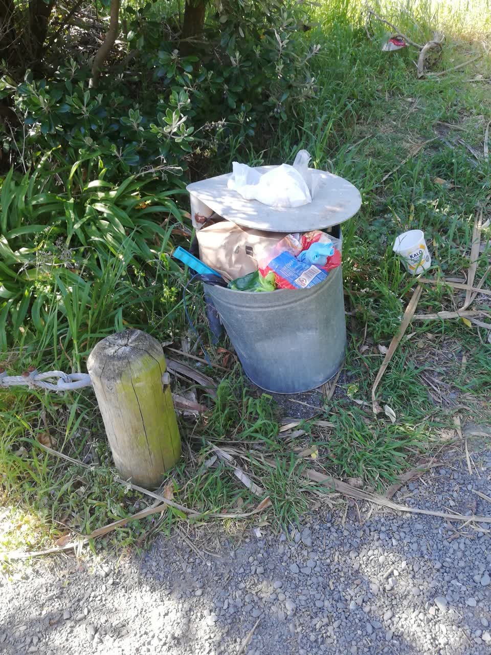The photograph attached to this rubbish and bins - general report