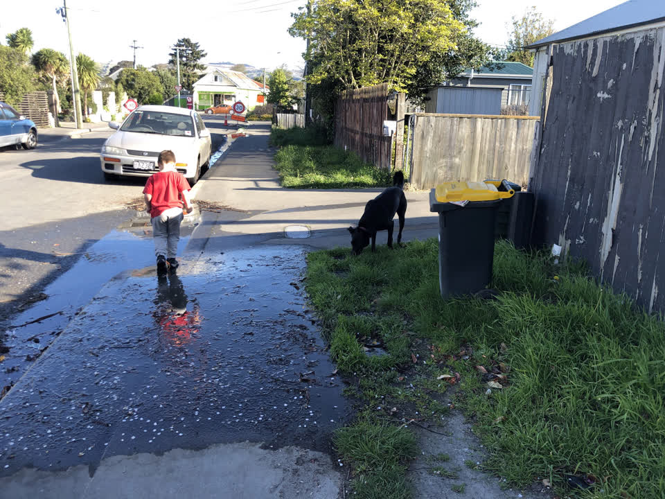 The photograph attached to this water leak report