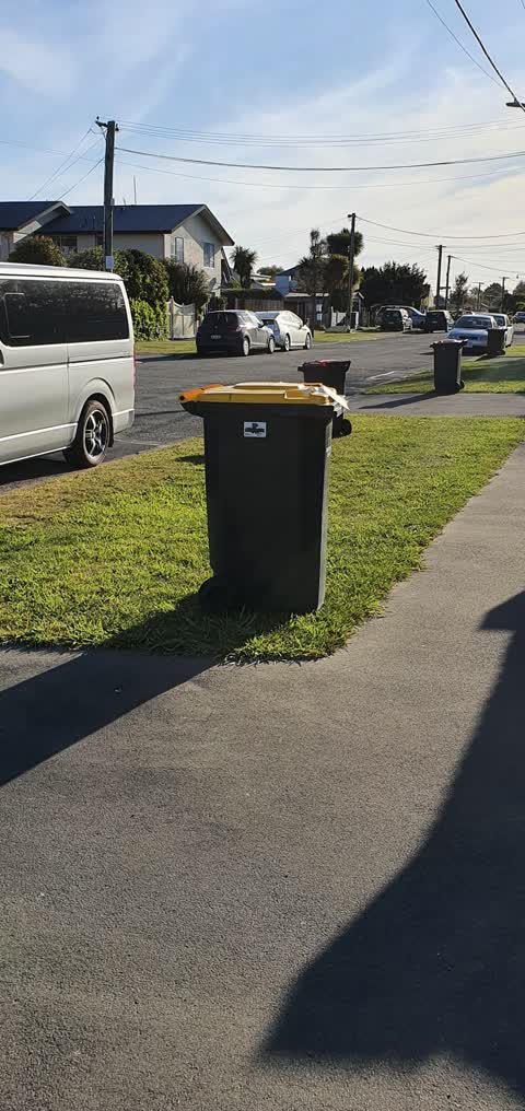 Rubbish and Bins - General, a report photo