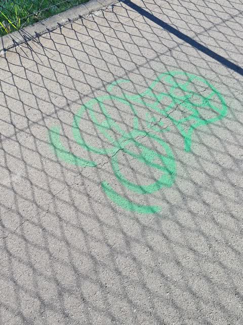 Graffiti, a report photo