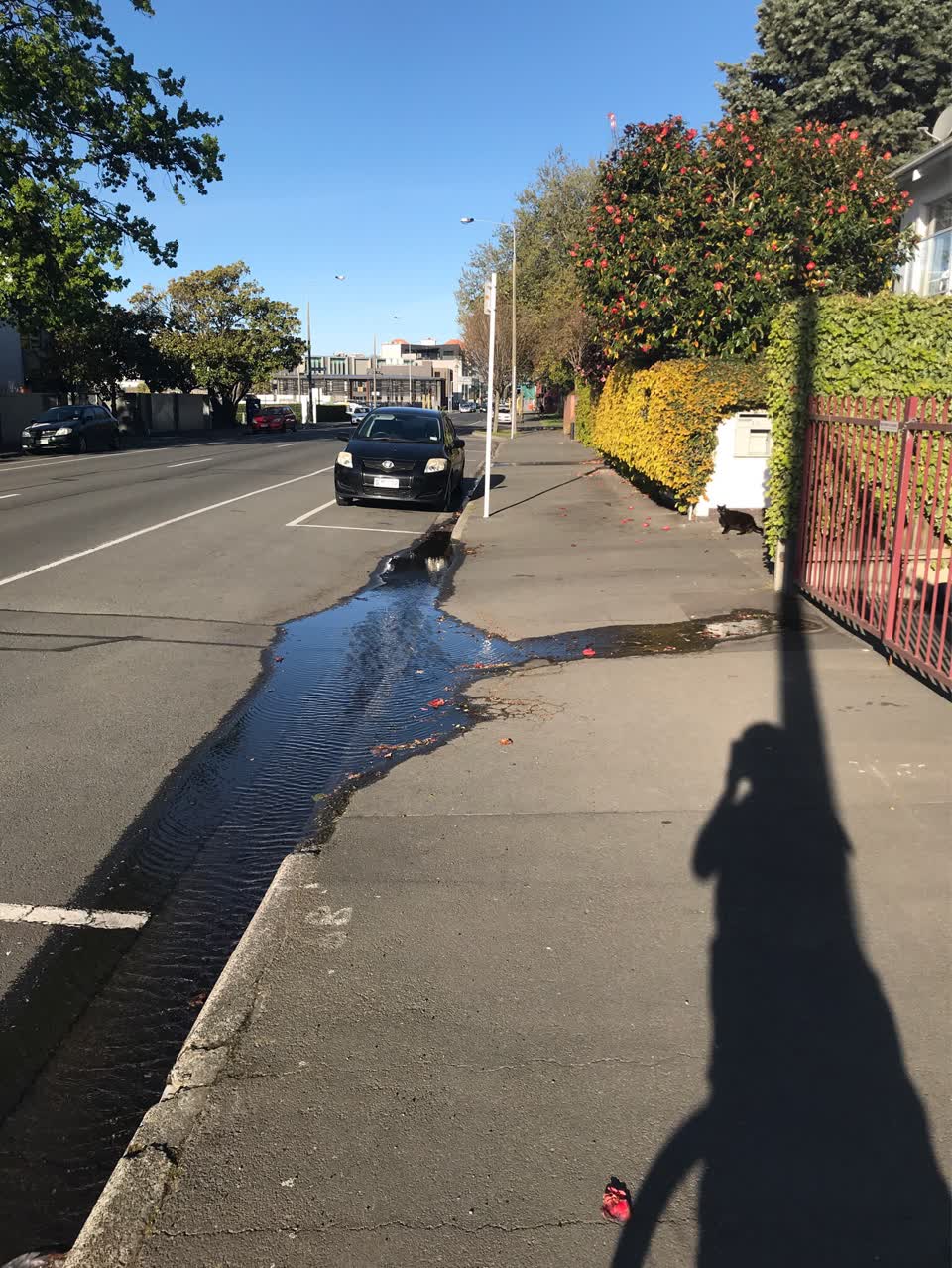 The photograph attached to this water leak report