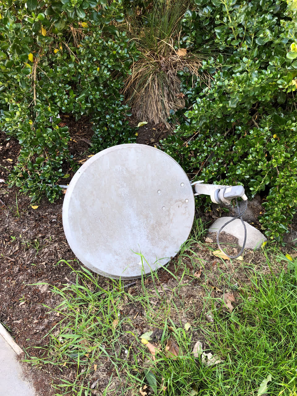 The photograph attached to this dumped rubbish report
