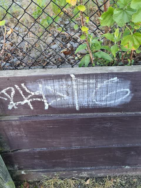 Graffiti, a report photo