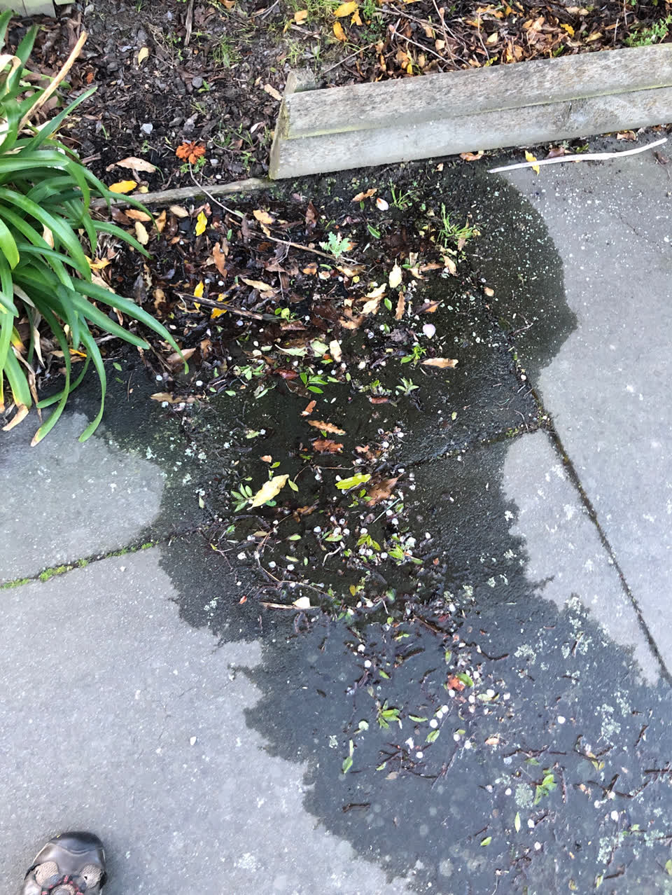 The photograph attached to this water leak report