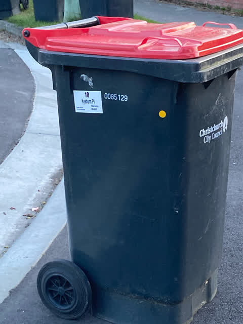 Rubbish and Bins - General, a report photo