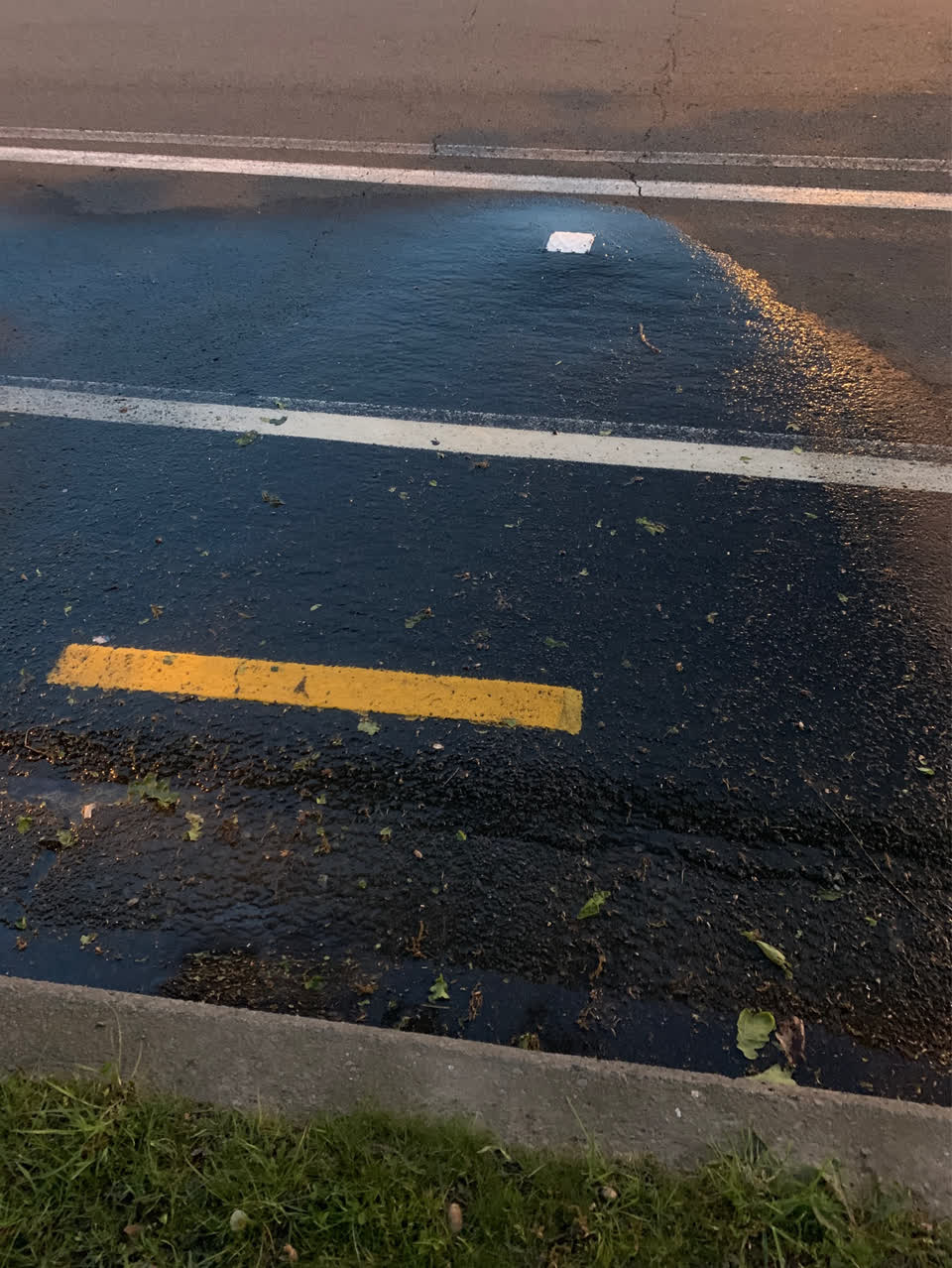 The photograph attached to this water leak report