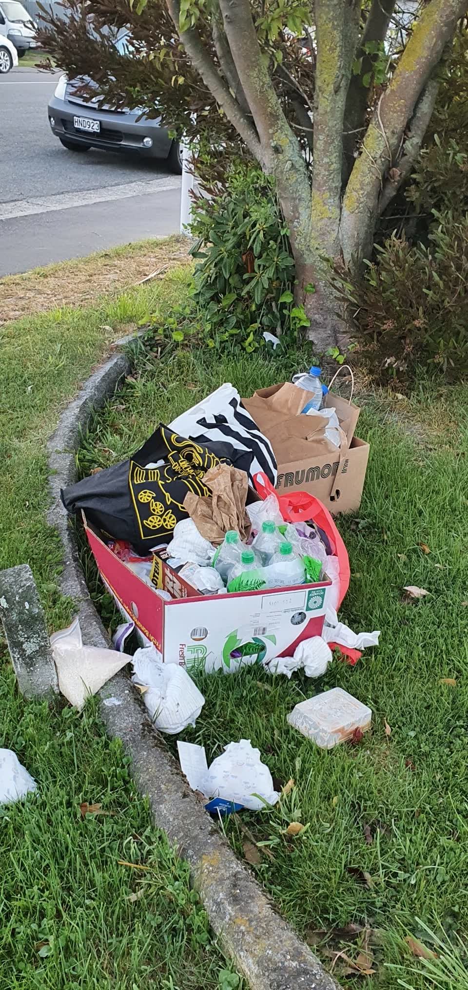 The photograph attached to this dumped rubbish report