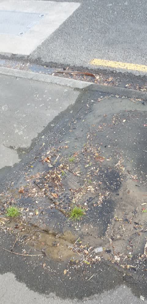 Water Leak, a report photo