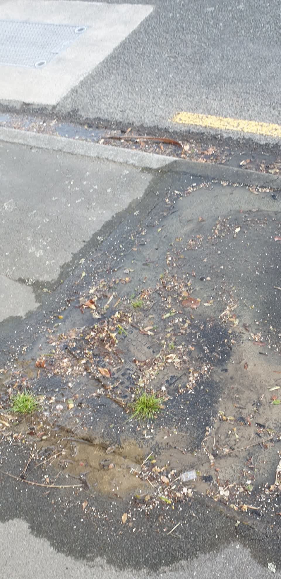 The photograph attached to this water leak report