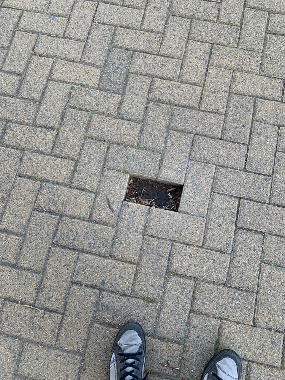 The photograph attached to this pavement - damaged report