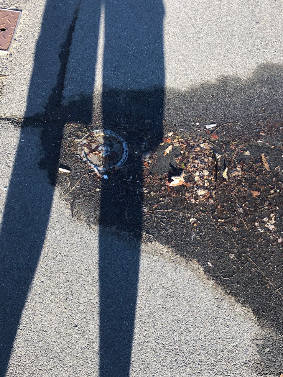 The photograph attached to this water leak report