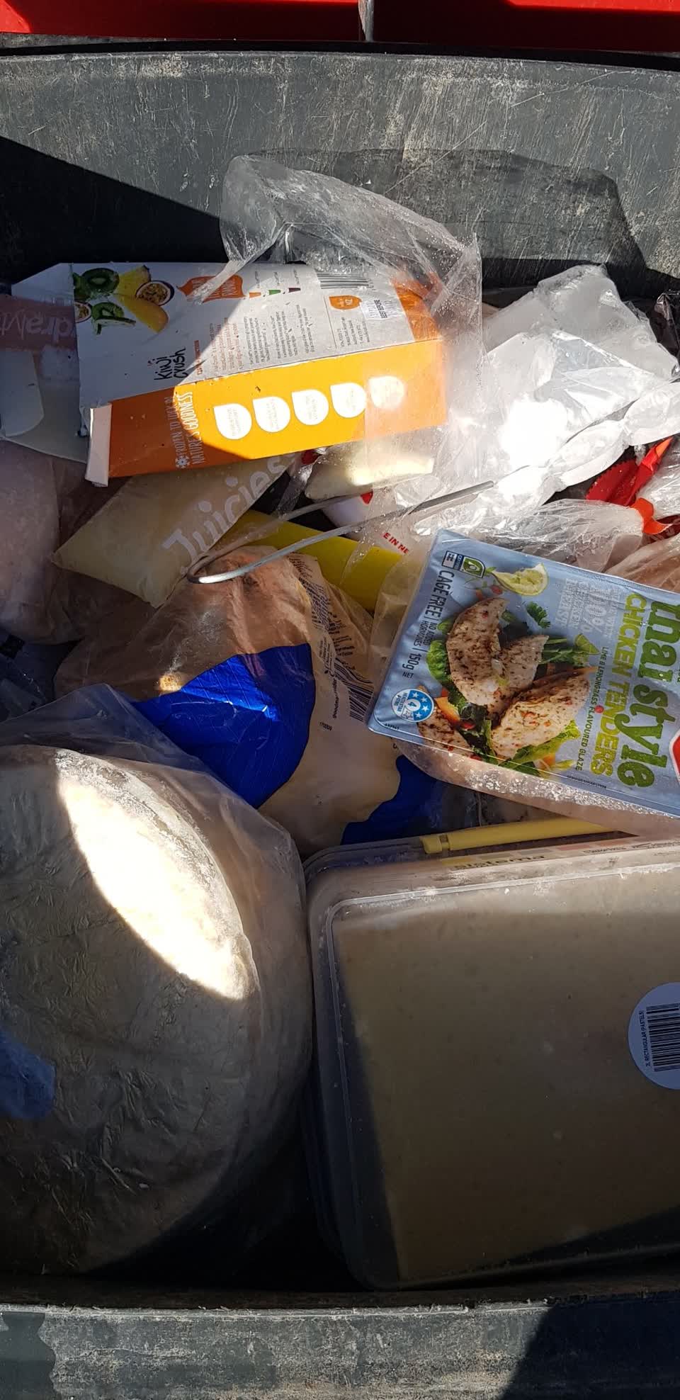 The photograph attached to this rubbish and bins - general report