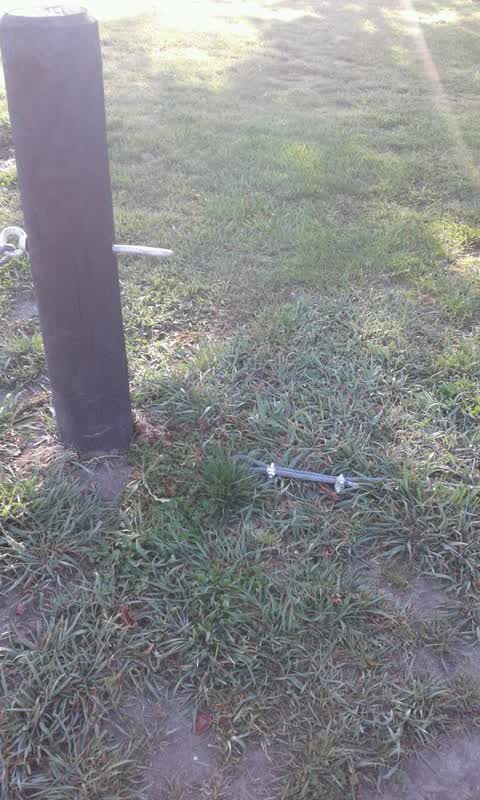 Parks, a report photo
