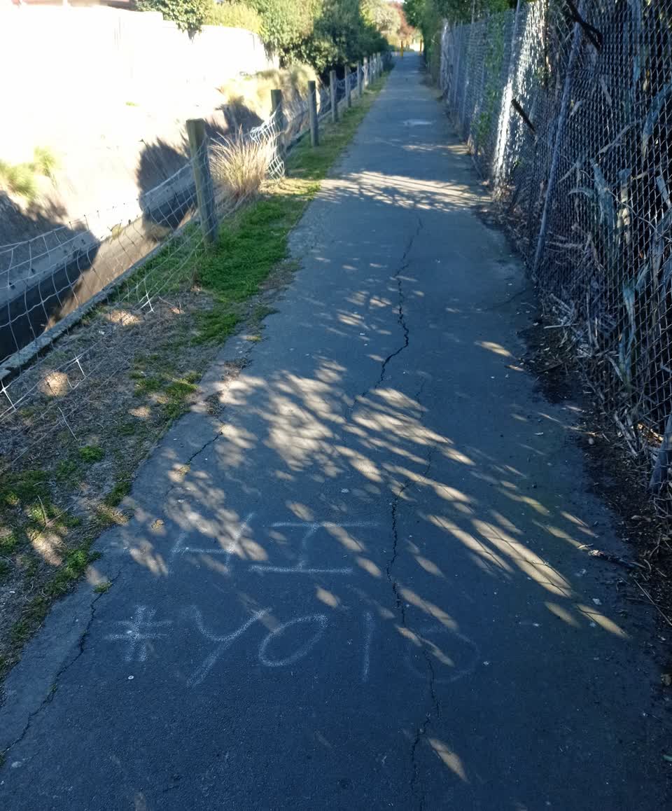 The photograph attached to this graffiti - public property report