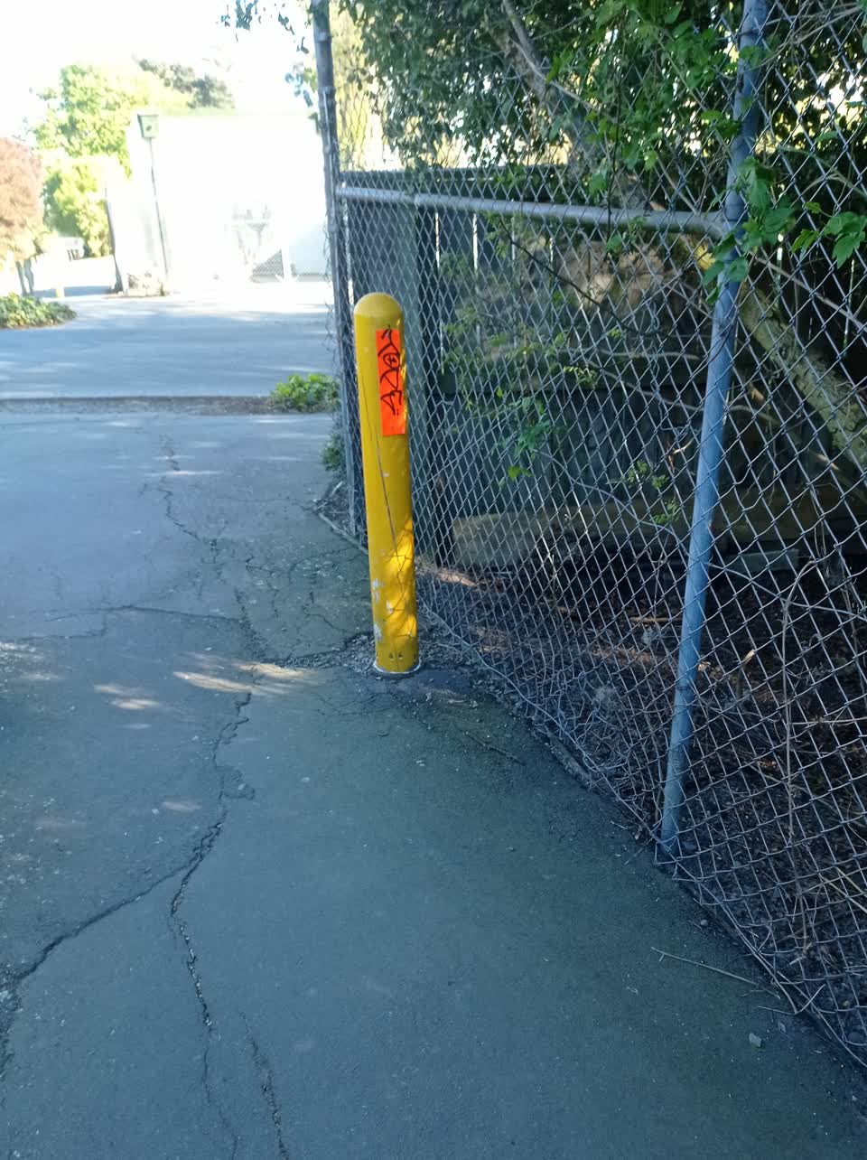 The photograph attached to this graffiti - public property report