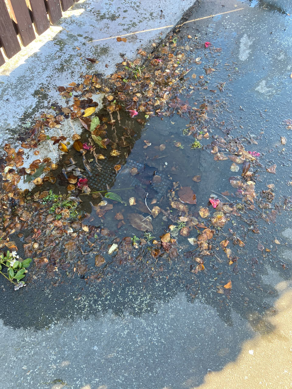 The photograph attached to this water leak report