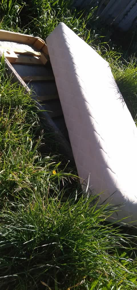 Dumped Rubbish, a report photo