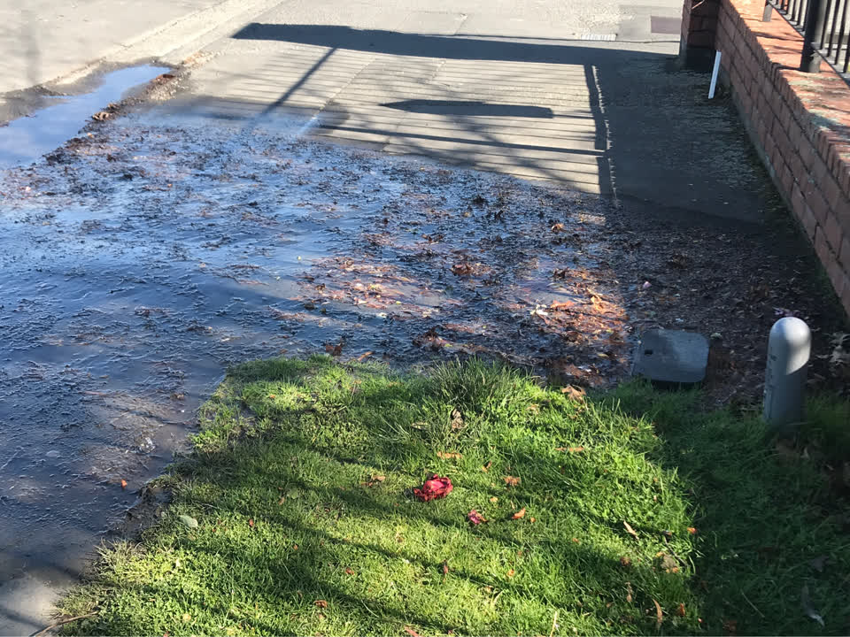 The photograph attached to this water supply report
