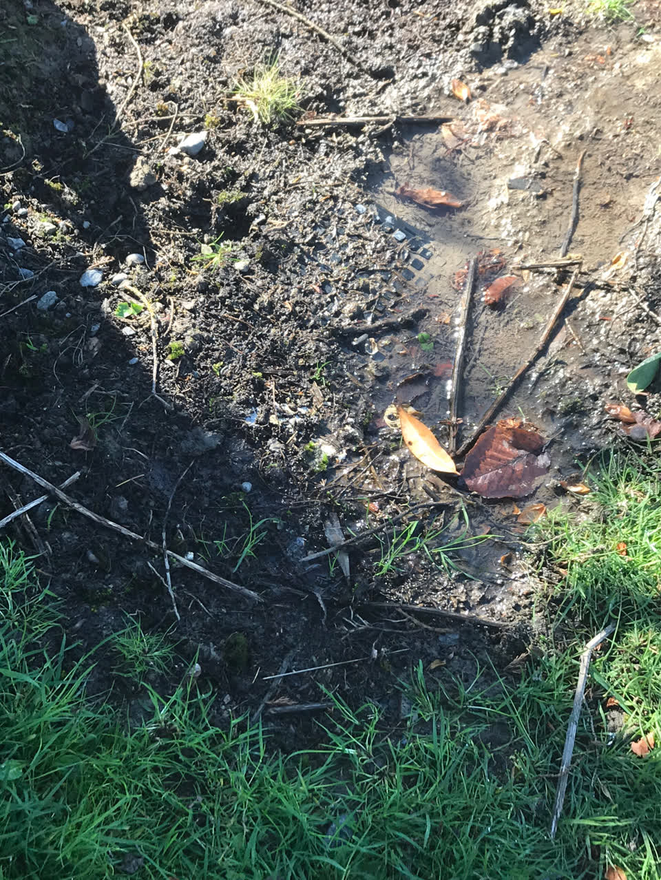 The photograph attached to this water leak report