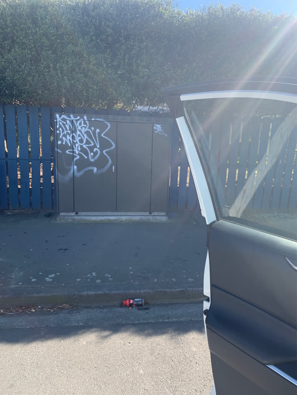 The photograph attached to this graffiti - public property report