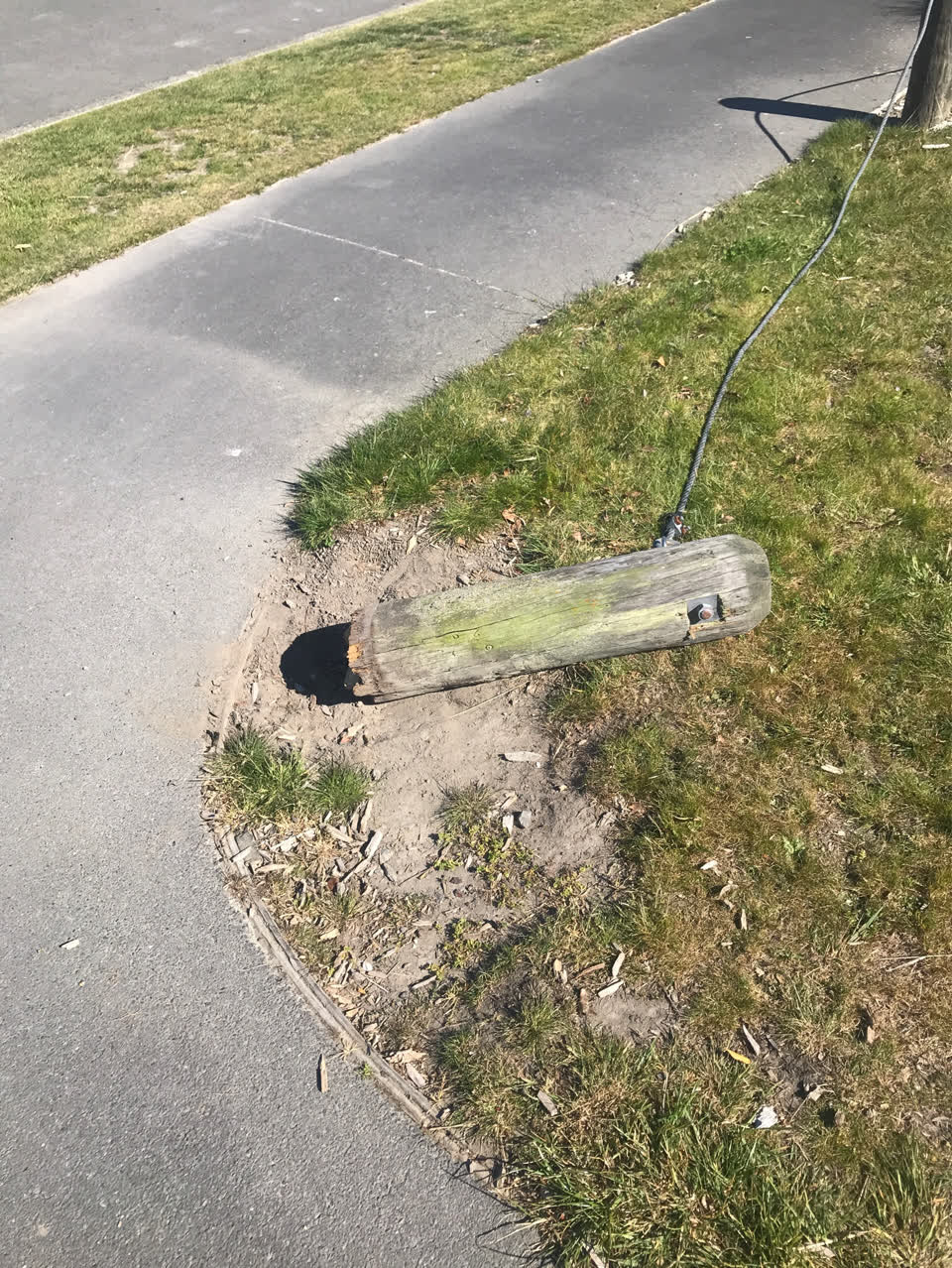 The photograph attached to this parks report