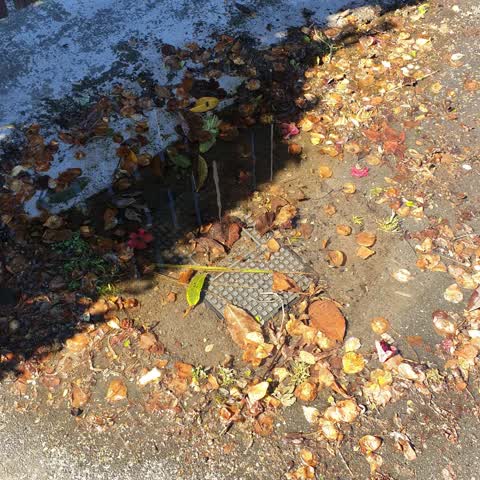 Wastewater/Stormwater, a report photo