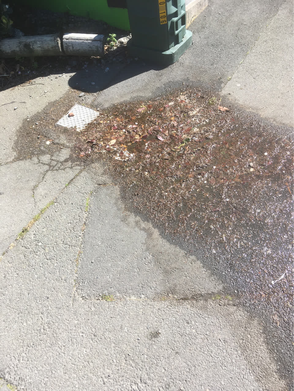 The photograph attached to this wastewater/stormwater report