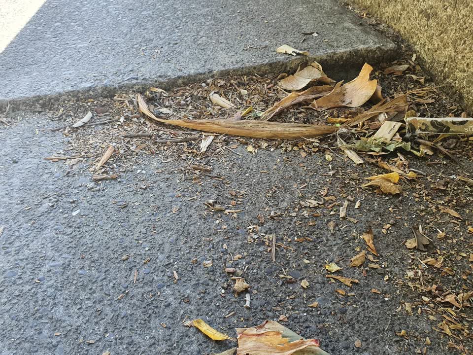 The photograph attached to this pavement - general report