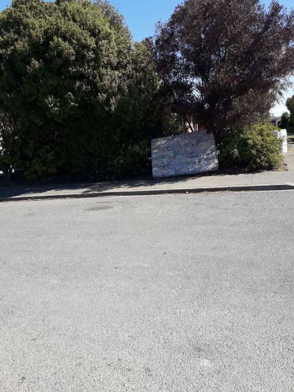The photograph attached to this dumped rubbish report