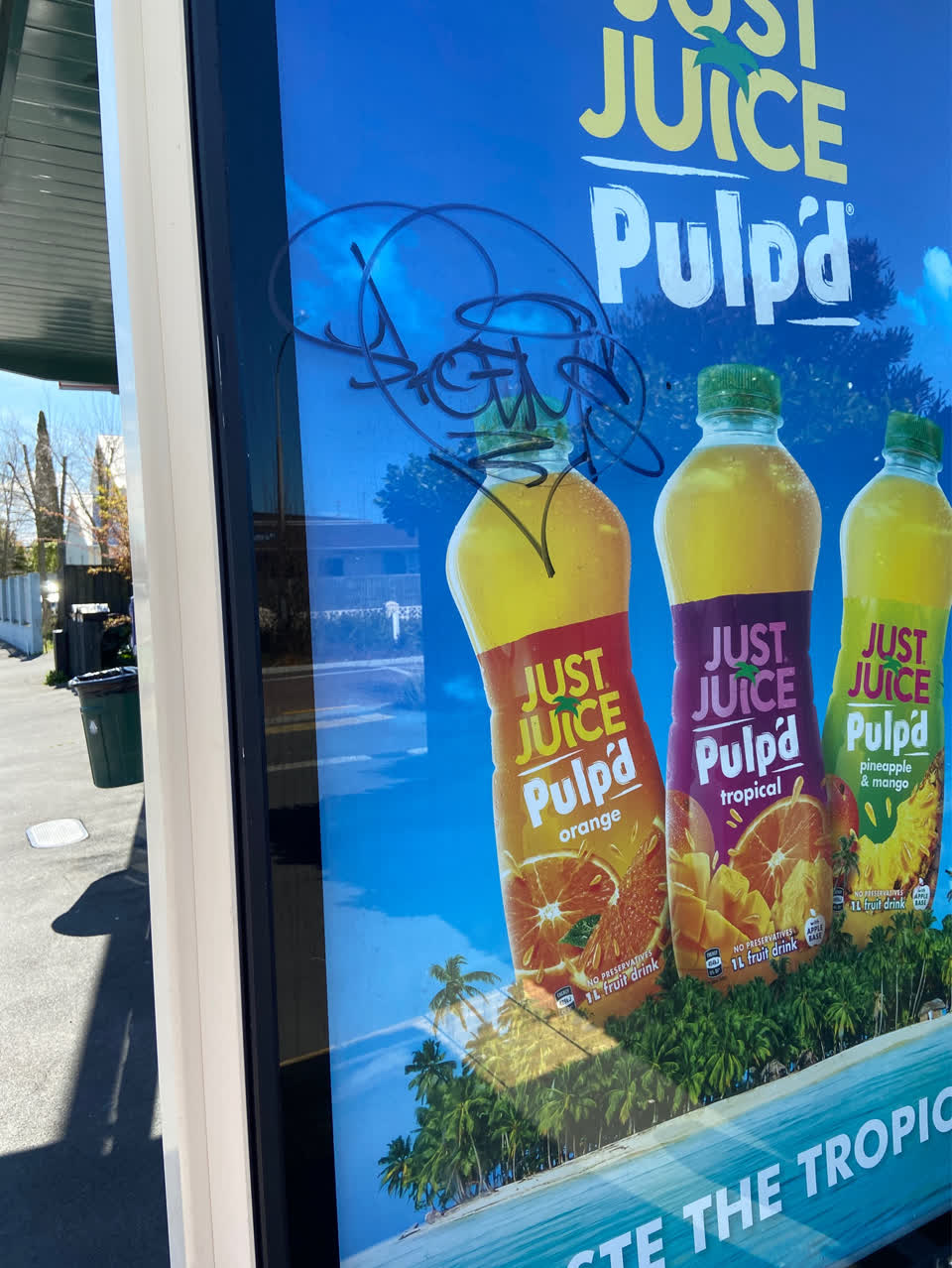 The photograph attached to this graffiti - public property report