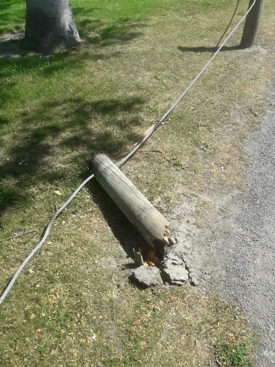 The photograph attached to this parks report