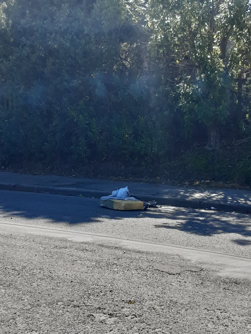 The photograph attached to this dumped rubbish report