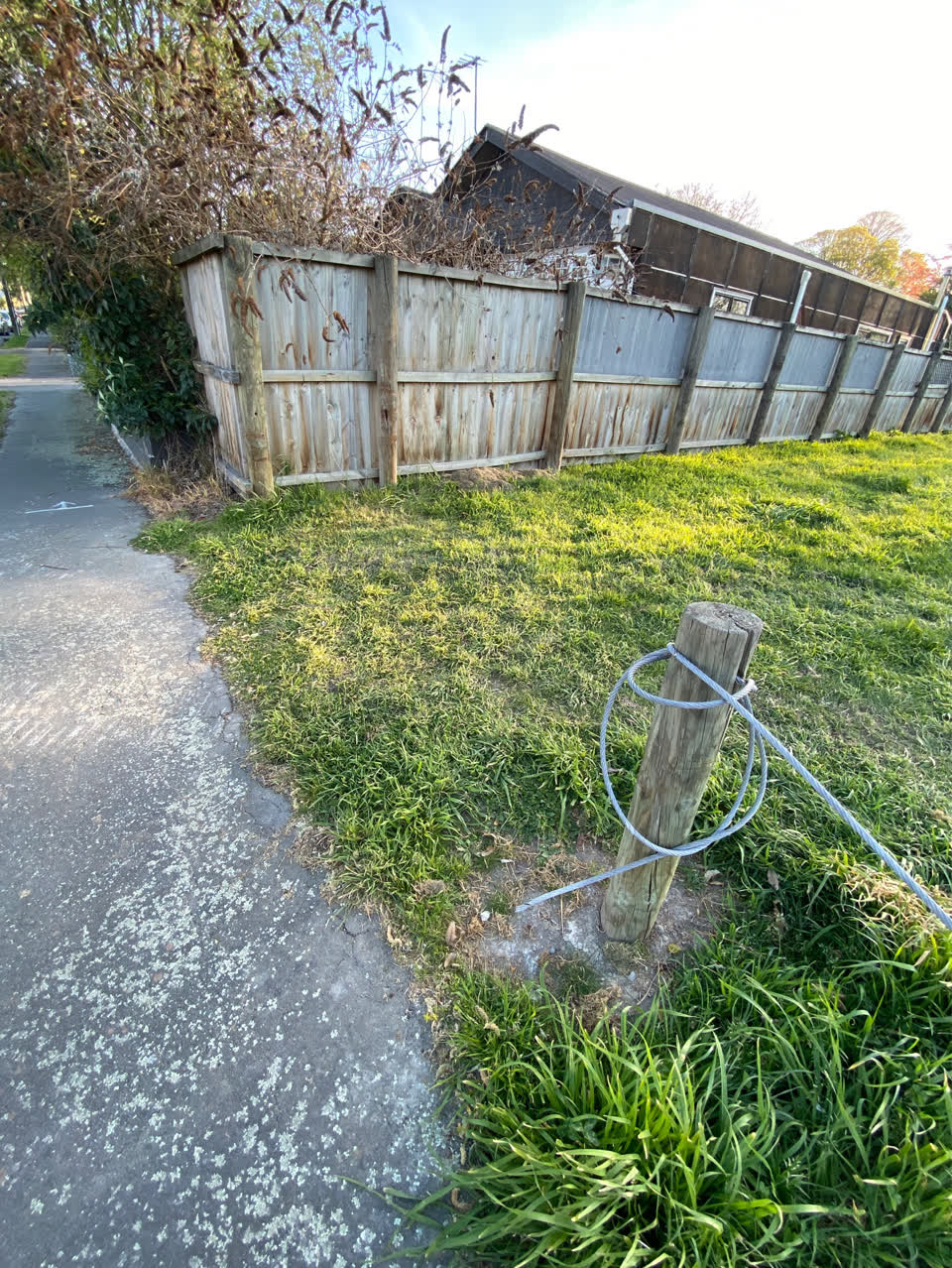 The photograph attached to this parks report