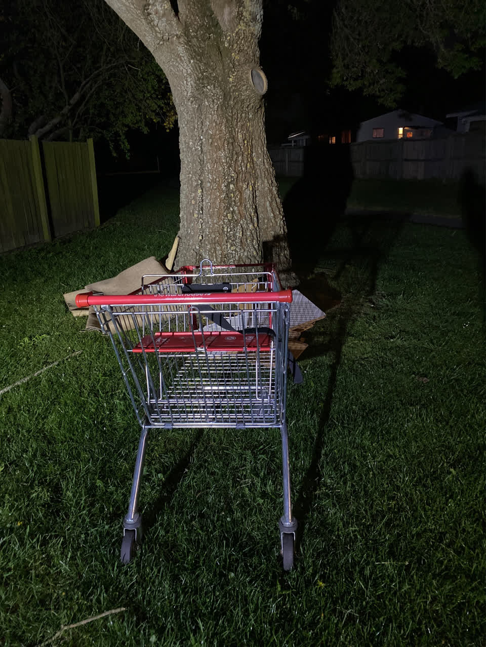 The photograph attached to this general - abandoned trolley report
