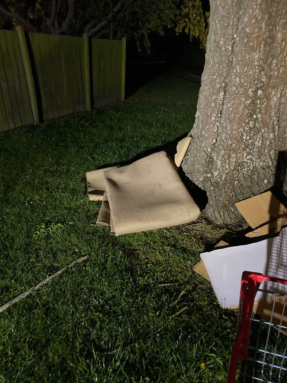 The photograph attached to this dumped rubbish report