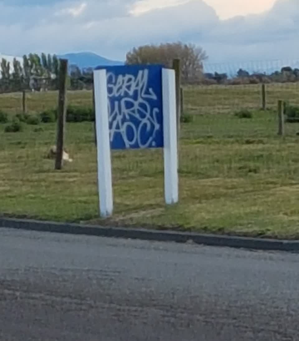 The photograph attached to this graffiti - signage report