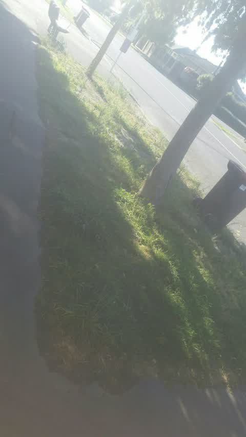 Overgrown Vegetation, a report photo