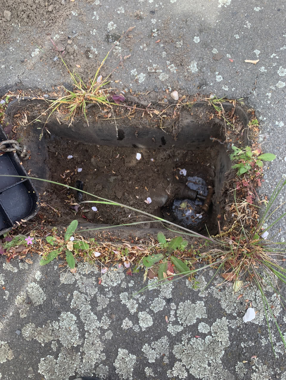 The photograph attached to this water supply report